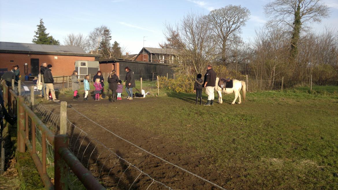 Trække ture til Jule messen på Gram Slot billede 15