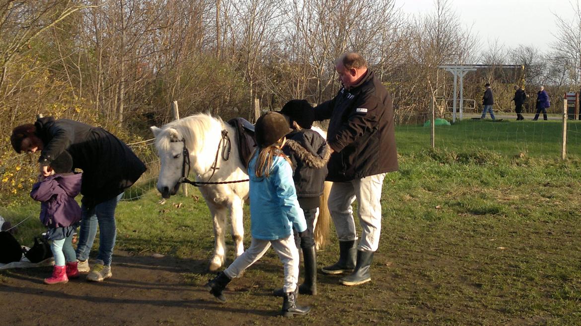 Trække ture til Jule messen på Gram Slot billede 17