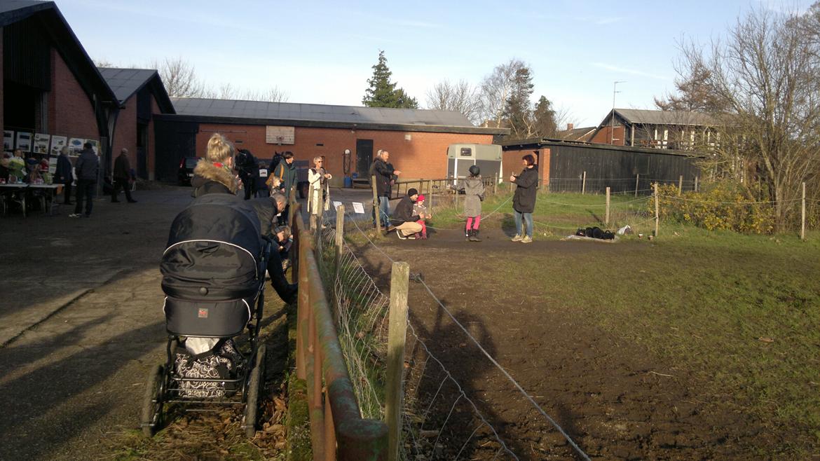 Trække ture til Jule messen på Gram Slot billede 19