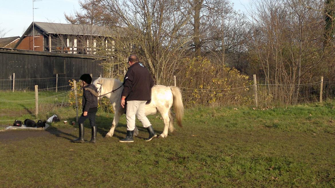 Trække ture til Jule messen på Gram Slot billede 23