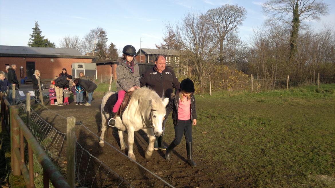 Trække ture til Jule messen på Gram Slot billede 24