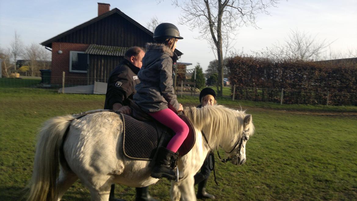 Trække ture til Jule messen på Gram Slot billede 25