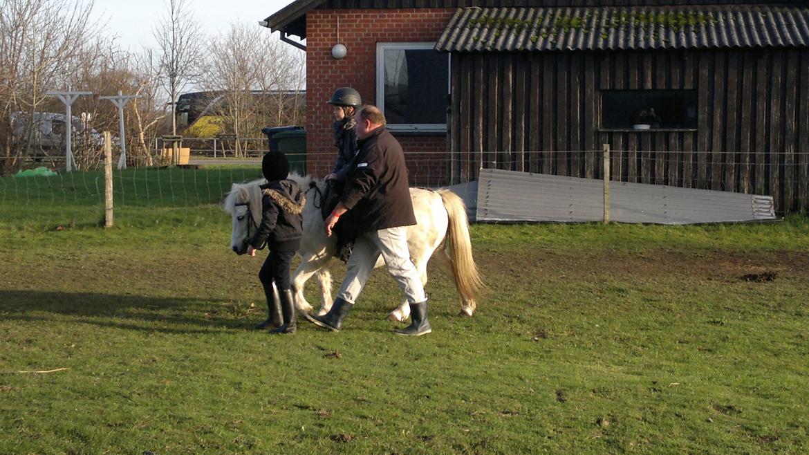 Trække ture til Jule messen på Gram Slot billede 28