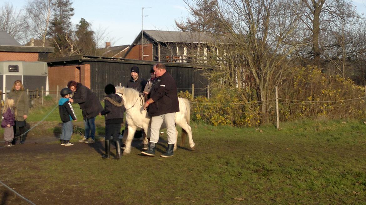 Trække ture til Jule messen på Gram Slot billede 29