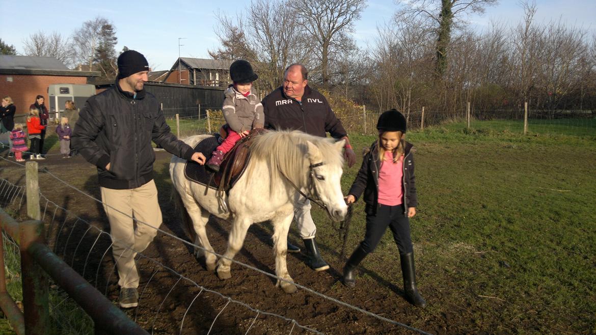 Trække ture til Jule messen på Gram Slot billede 30