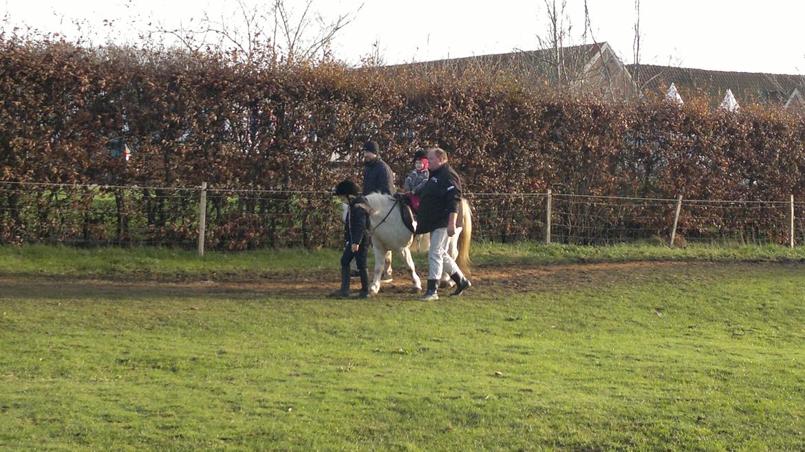 Trække ture til Jule messen på Gram Slot billede 31
