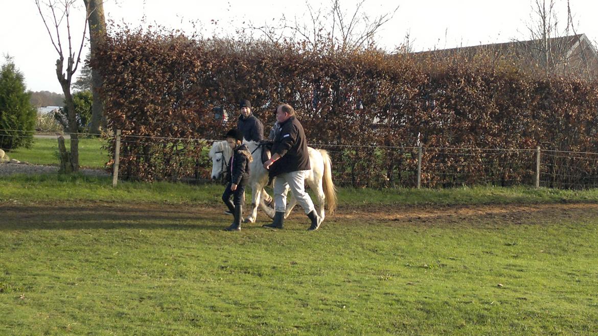 Trække ture til Jule messen på Gram Slot billede 32