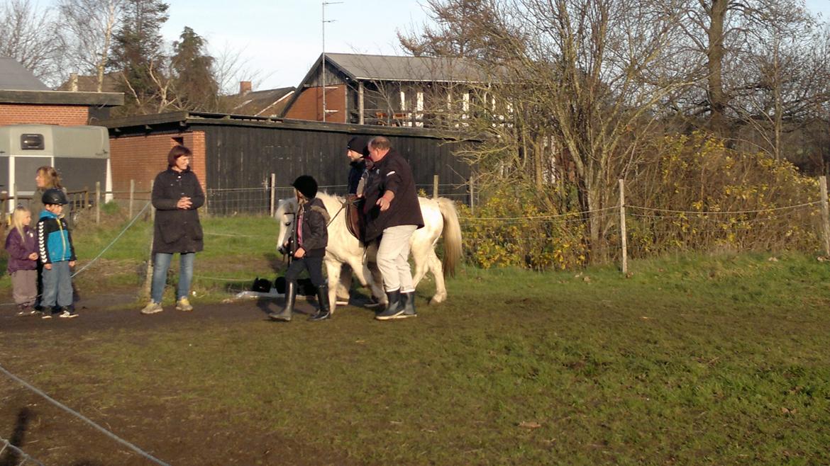 Trække ture til Jule messen på Gram Slot billede 33