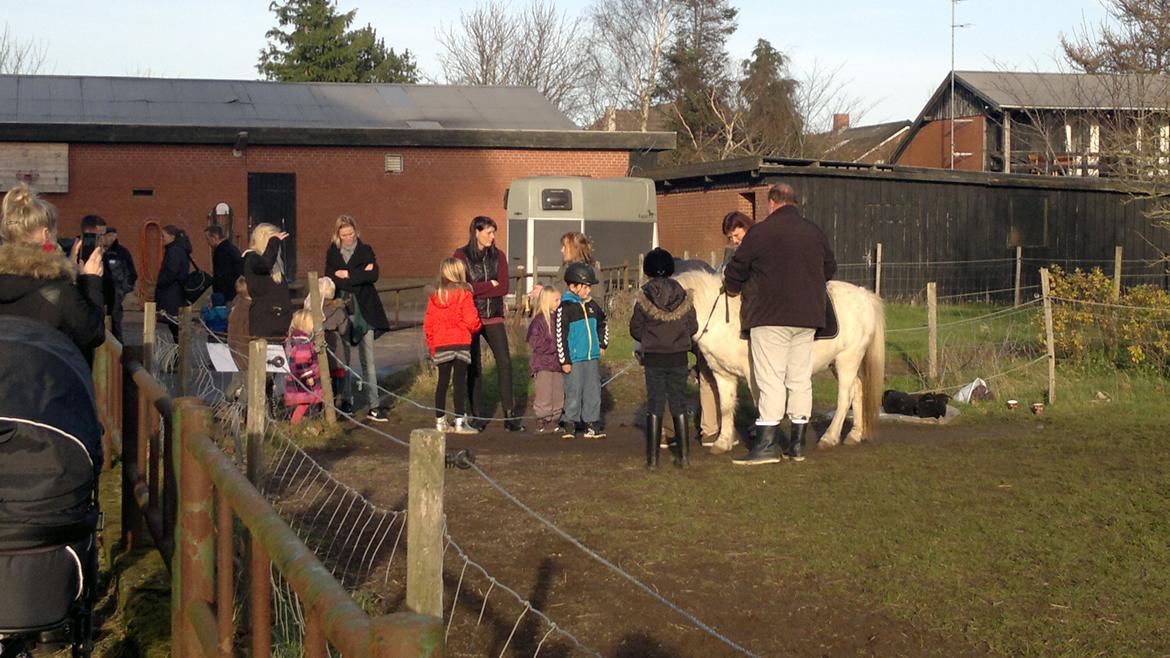 Trække ture til Jule messen på Gram Slot billede 34