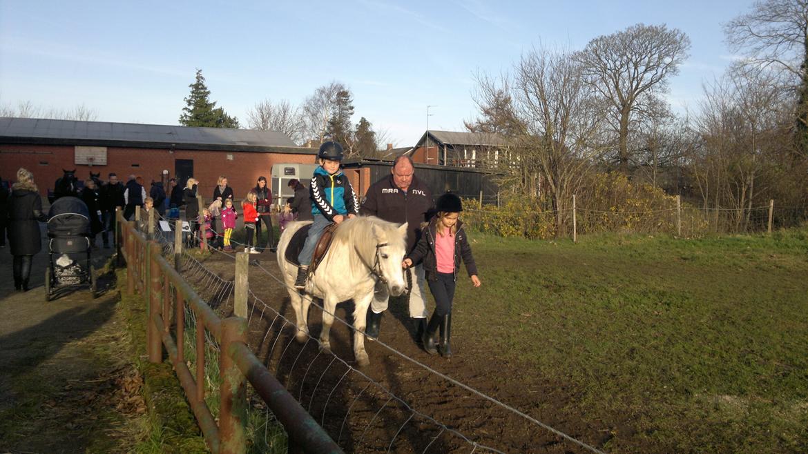 Trække ture til Jule messen på Gram Slot billede 36