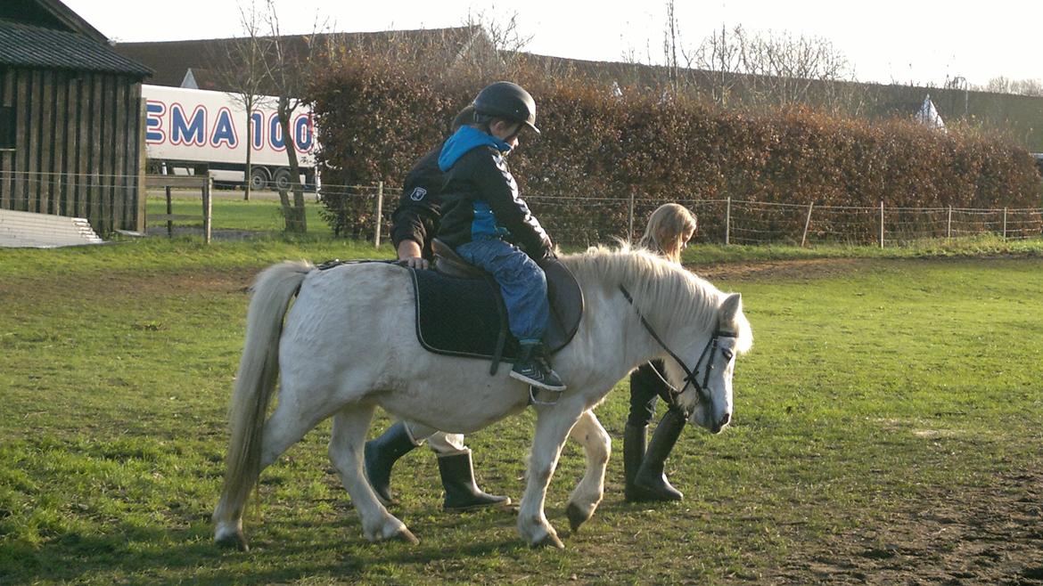 Trække ture til Jule messen på Gram Slot billede 39