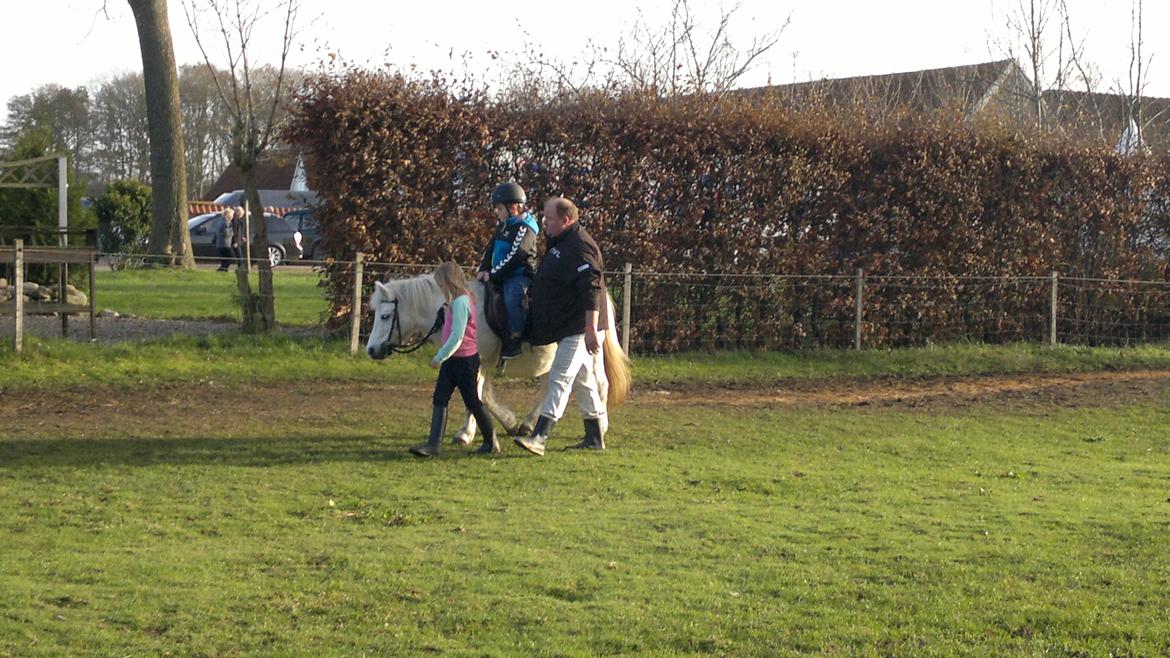 Trække ture til Jule messen på Gram Slot billede 40