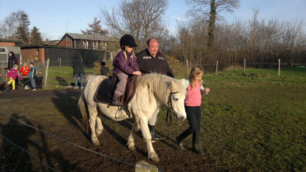 Trække ture til Jule messen på Gram Slot billede 42