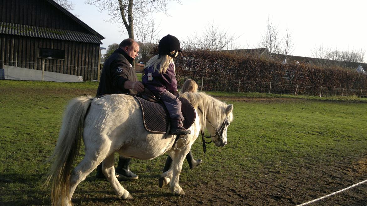 Trække ture til Jule messen på Gram Slot billede 43