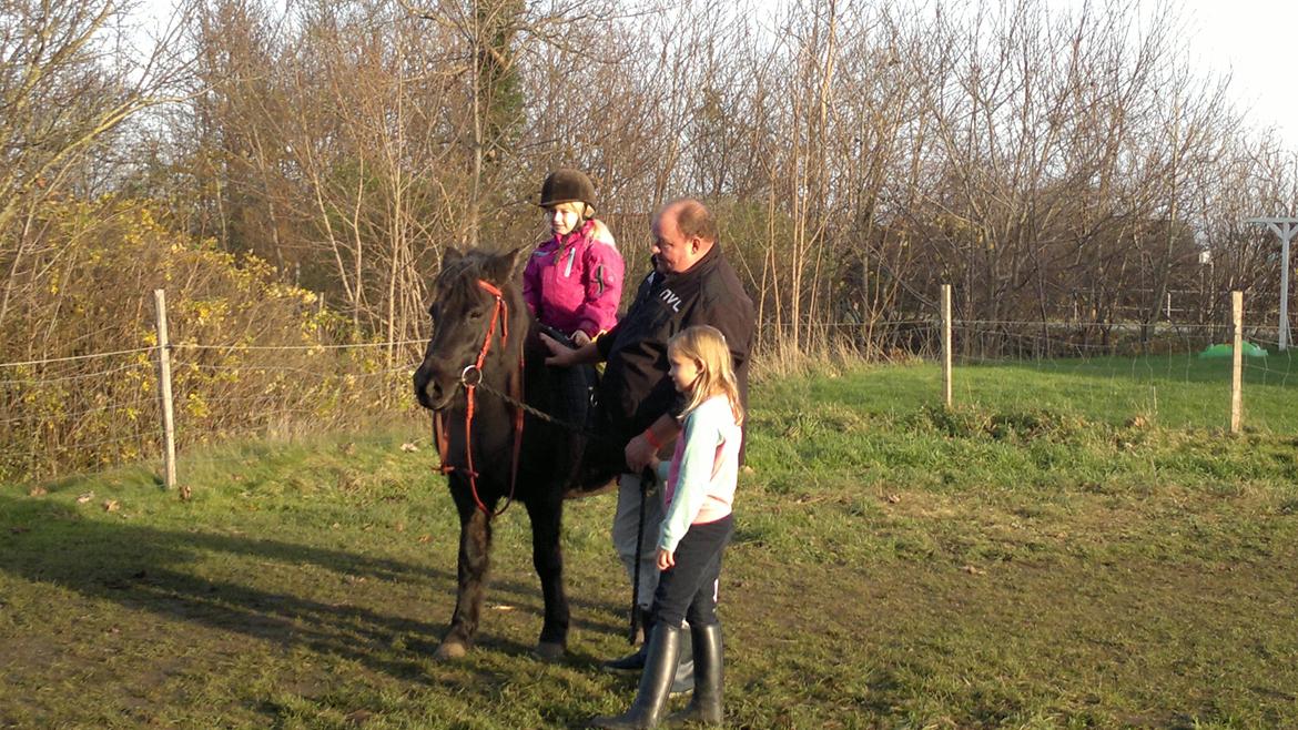 Trække ture til Jule messen på Gram Slot billede 44