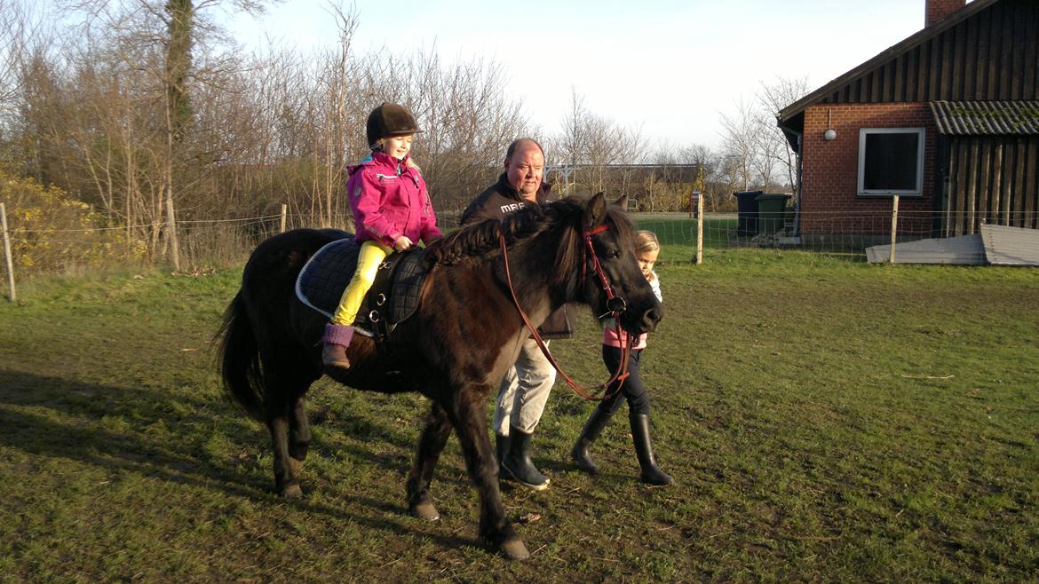 Trække ture til Jule messen på Gram Slot billede 45