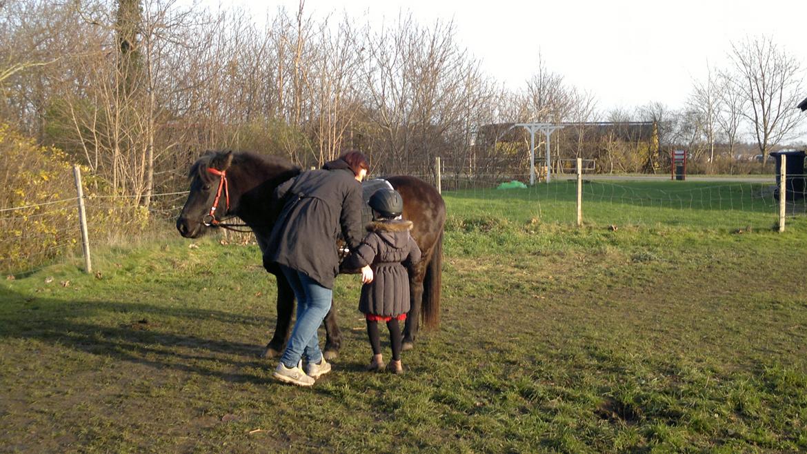Trække ture til Jule messen på Gram Slot billede 47