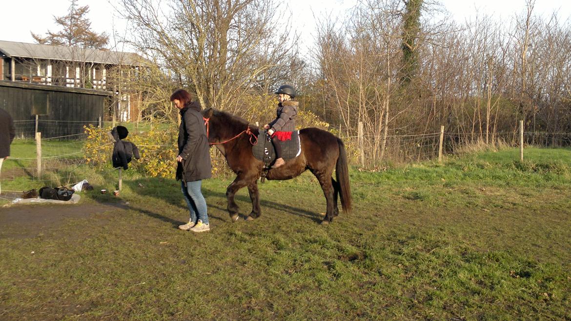 Trække ture til Jule messen på Gram Slot billede 48