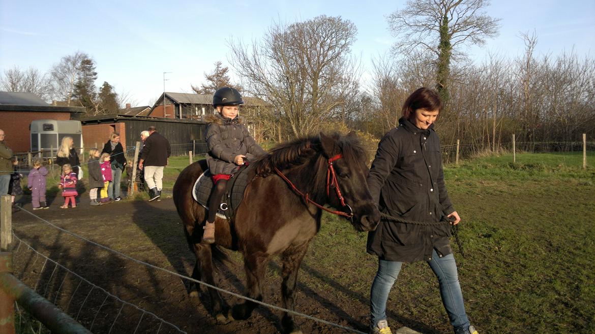 Trække ture til Jule messen på Gram Slot billede 49