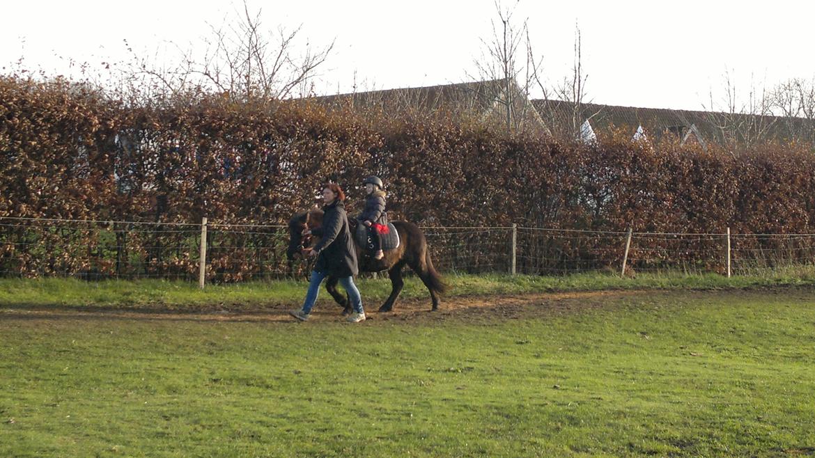 Trække ture til Jule messen på Gram Slot billede 50