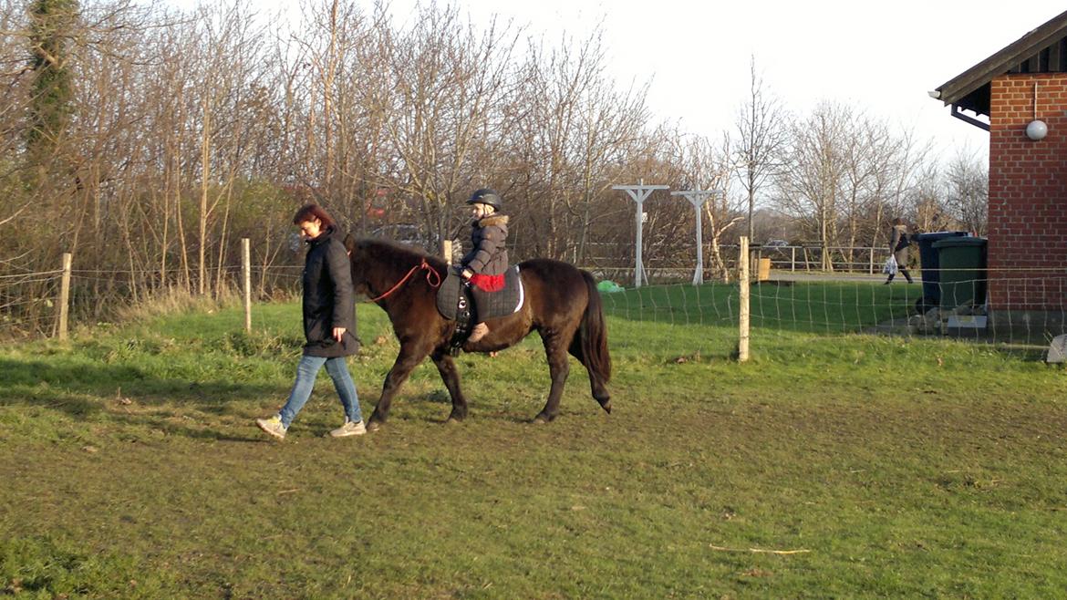 Trække ture til Jule messen på Gram Slot billede 51