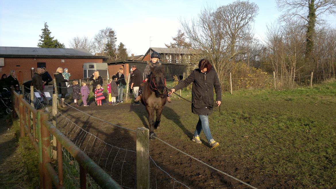 Trække ture til Jule messen på Gram Slot billede 52