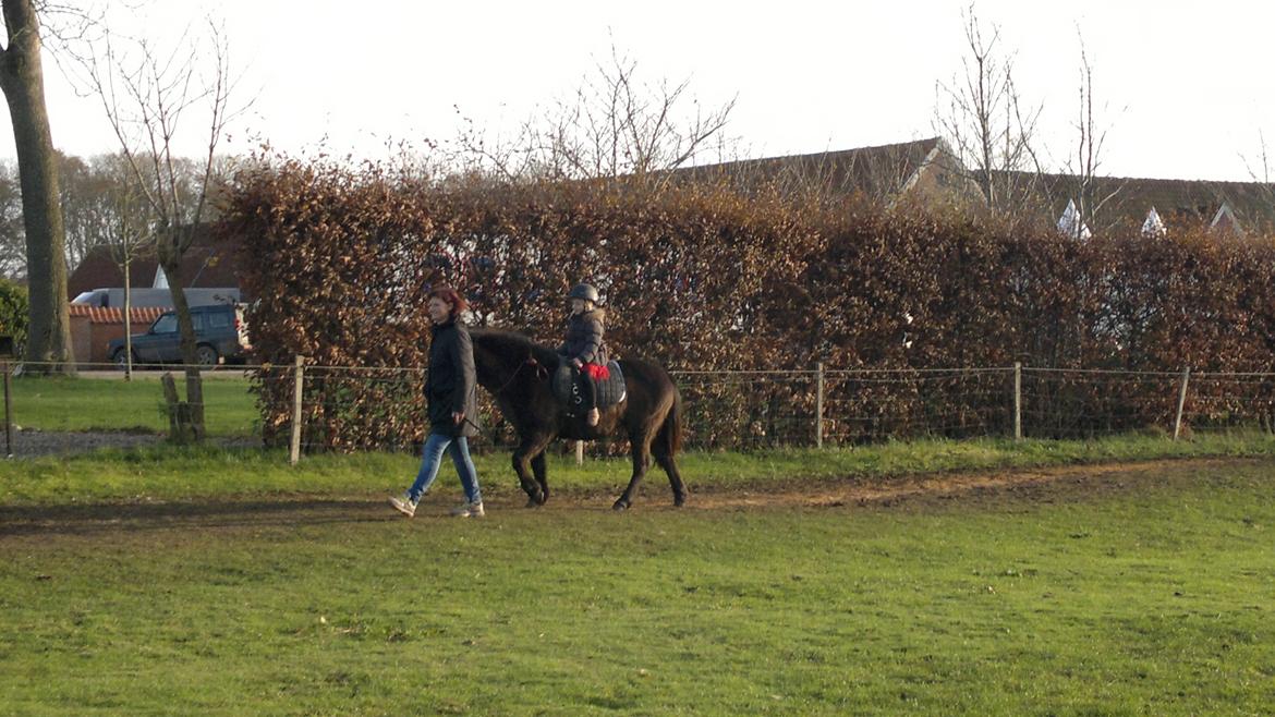 Trække ture til Jule messen på Gram Slot billede 53