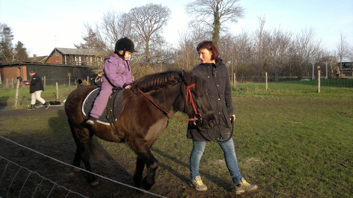 Trække ture til Jule messen på Gram Slot billede 54