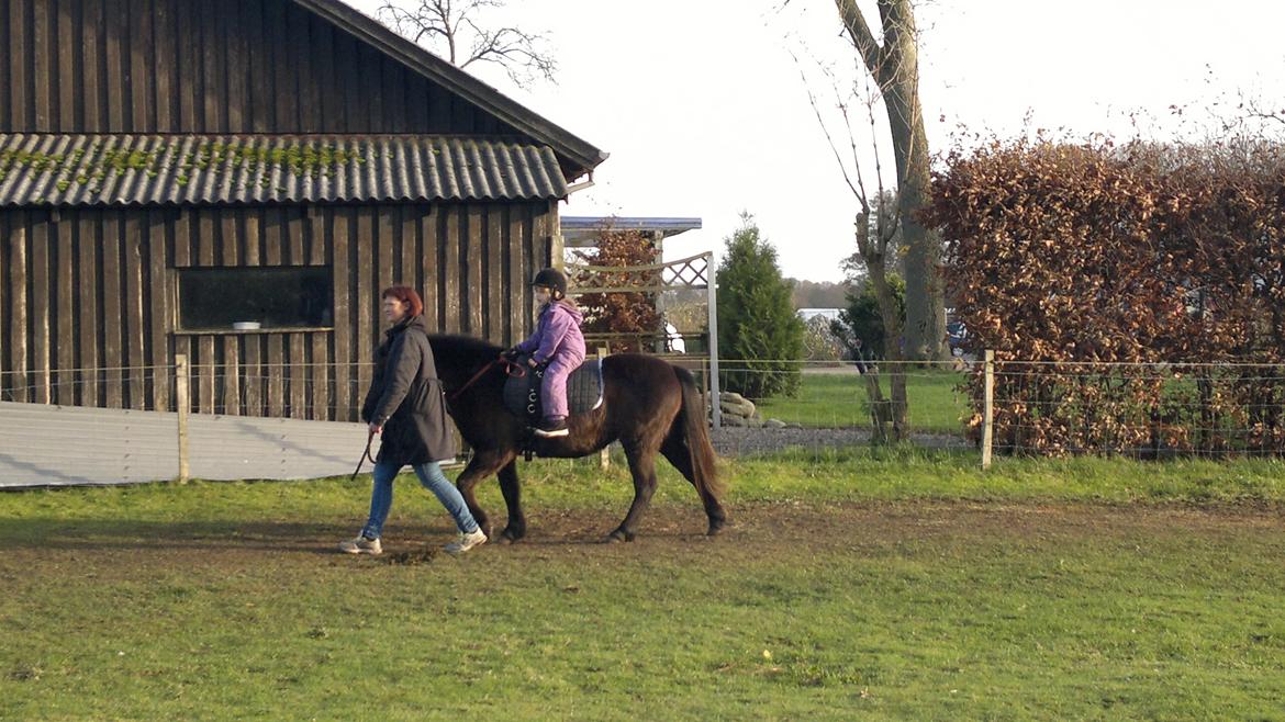 Trække ture til Jule messen på Gram Slot billede 55