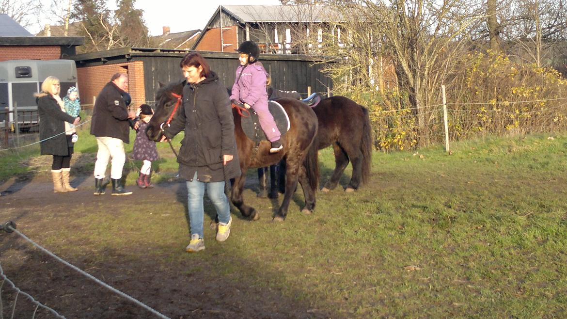 Trække ture til Jule messen på Gram Slot billede 56