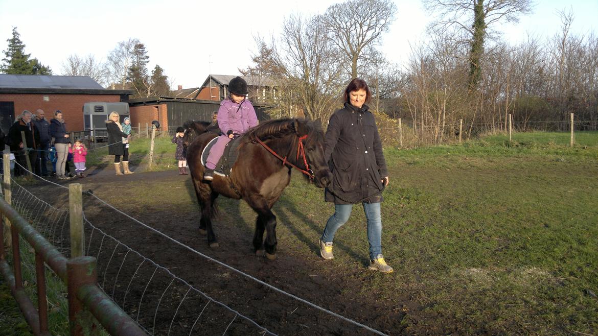 Trække ture til Jule messen på Gram Slot billede 57