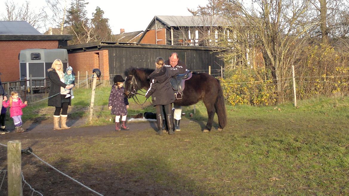 Trække ture til Jule messen på Gram Slot billede 58