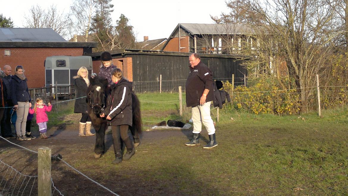 Trække ture til Jule messen på Gram Slot billede 59