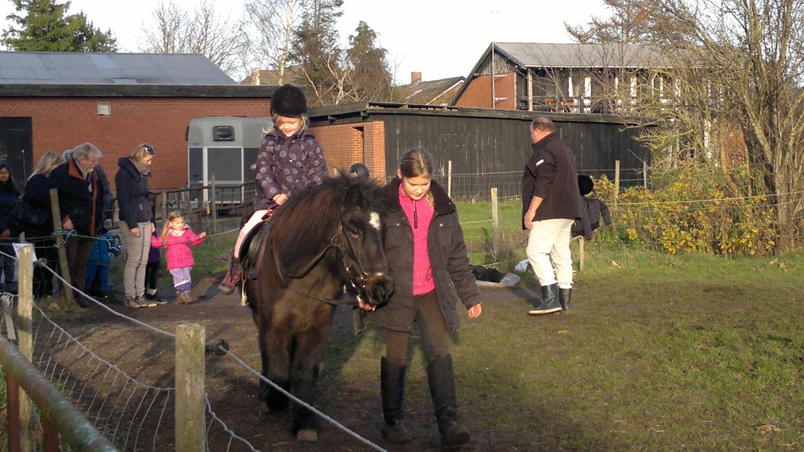 Trække ture til Jule messen på Gram Slot billede 60