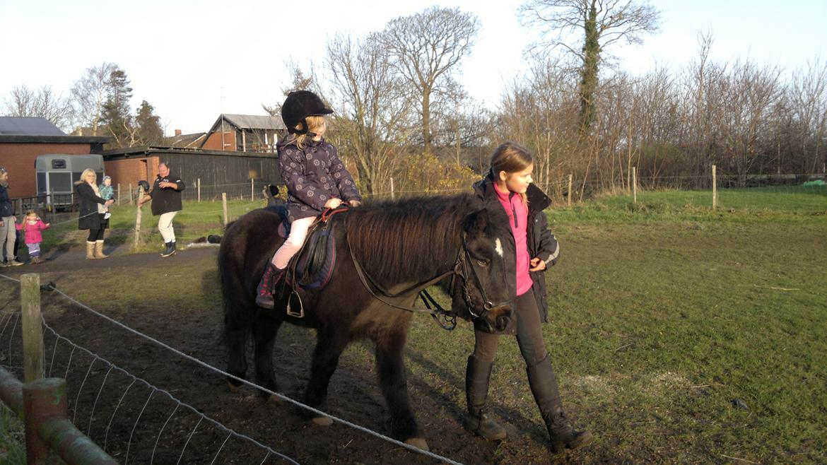 Trække ture til Jule messen på Gram Slot billede 61