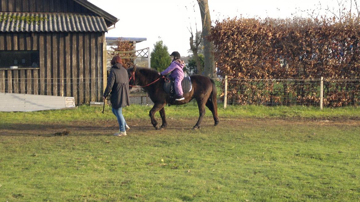 Trække ture til Jule messen på Gram Slot billede 62