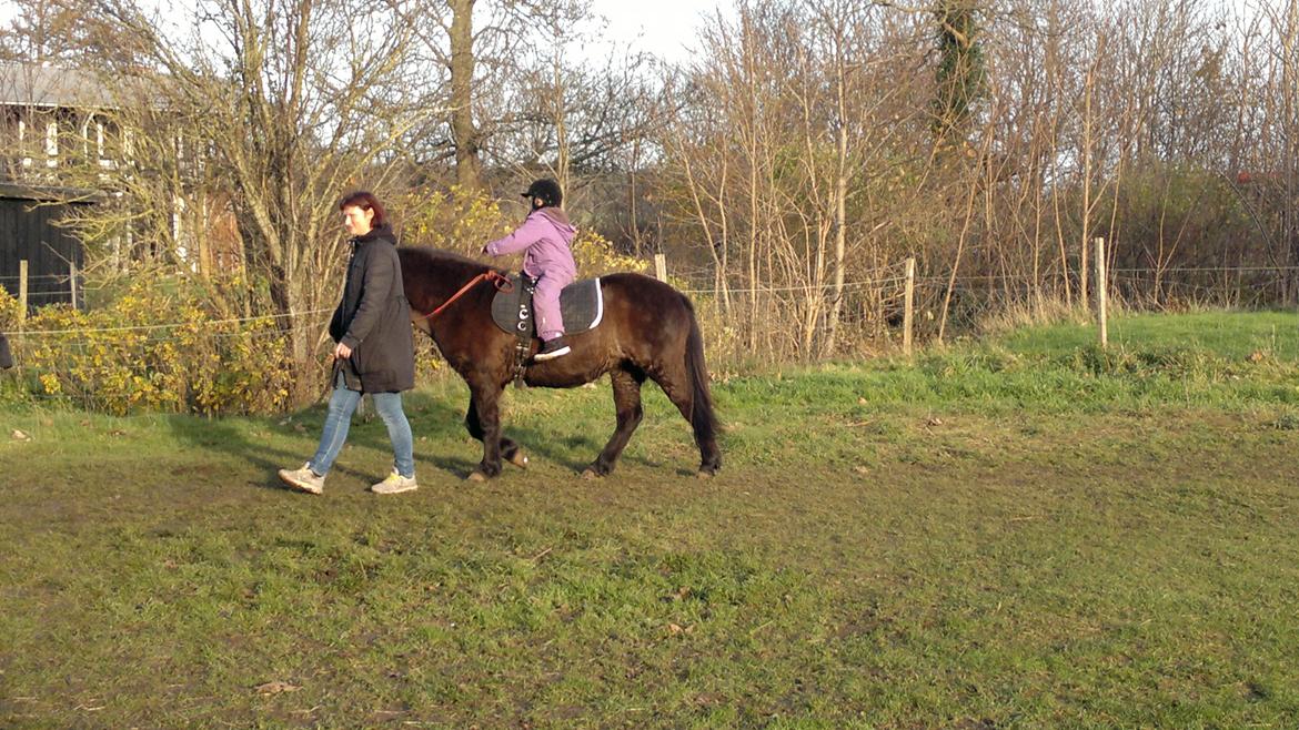 Trække ture til Jule messen på Gram Slot billede 63