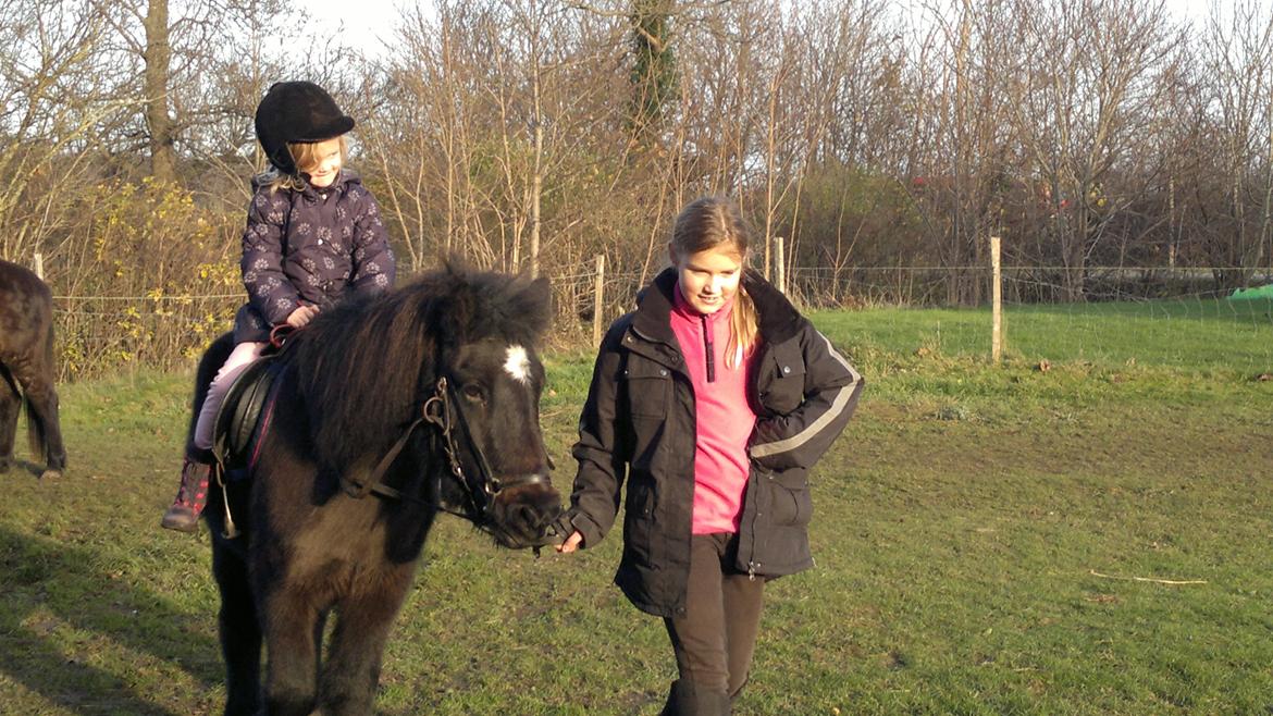 Trække ture til Jule messen på Gram Slot billede 64