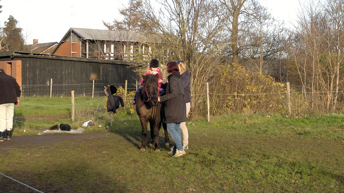 Trække ture til Jule messen på Gram Slot billede 65