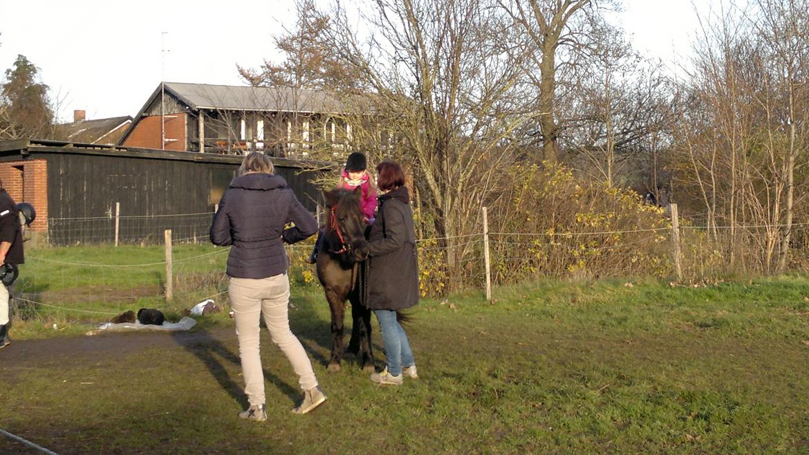 Trække ture til Jule messen på Gram Slot billede 66