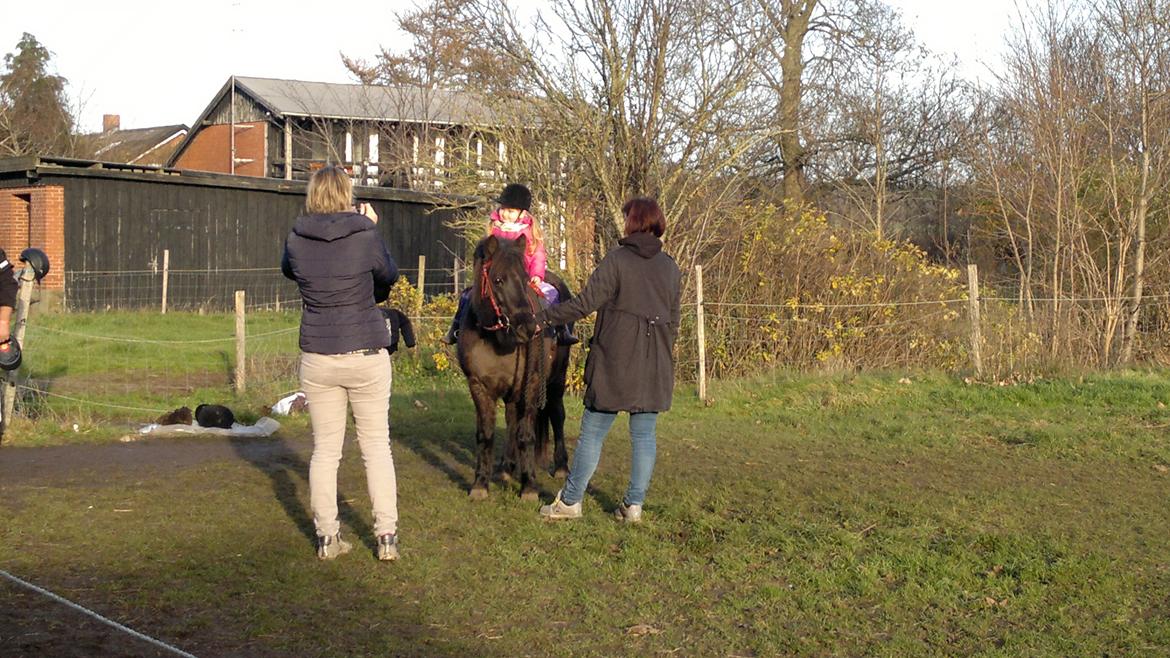 Trække ture til Jule messen på Gram Slot billede 67