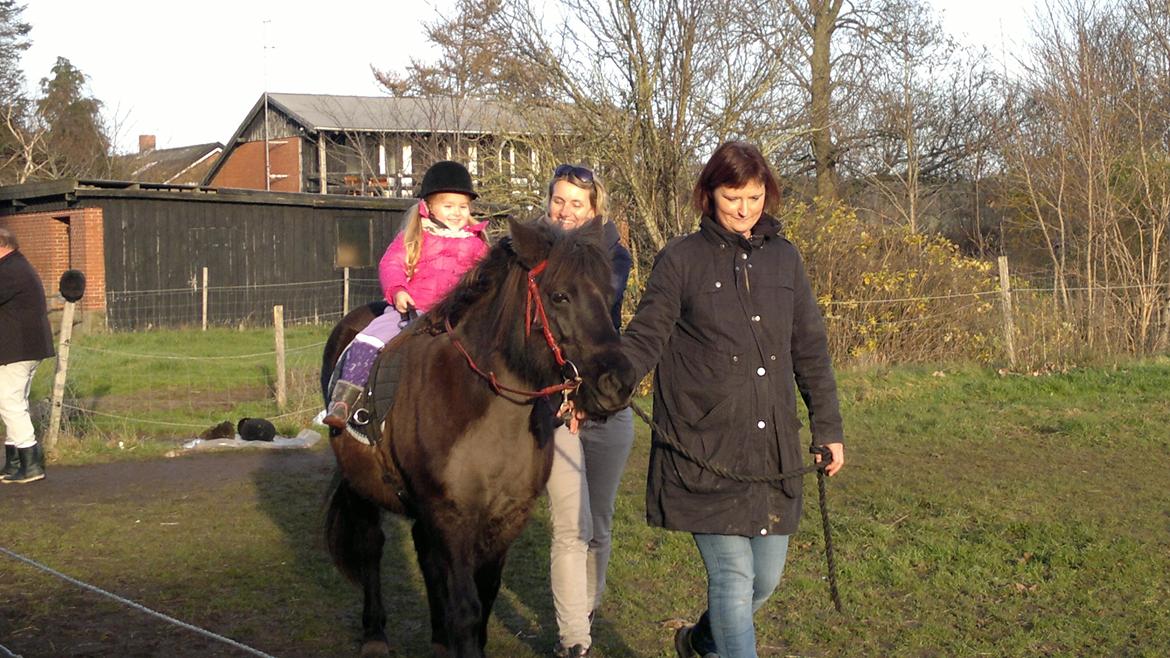 Trække ture til Jule messen på Gram Slot billede 68