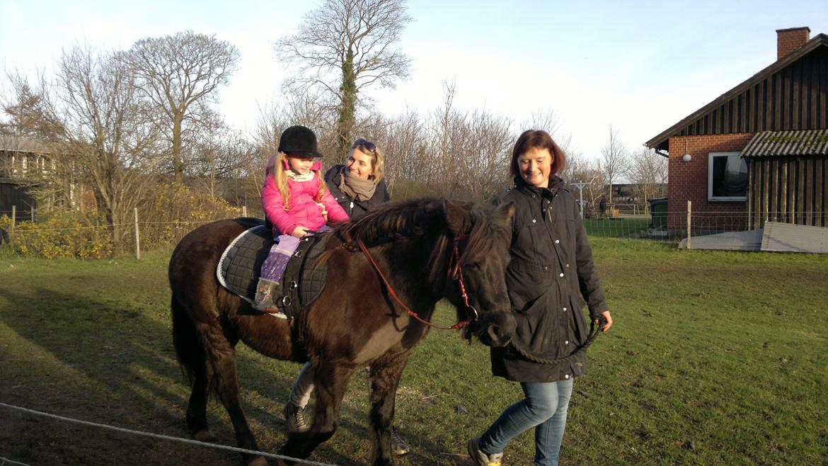 Trække ture til Jule messen på Gram Slot billede 69