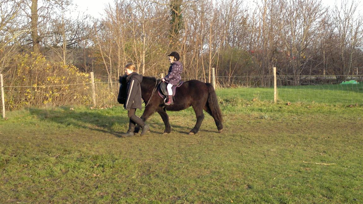 Trække ture til Jule messen på Gram Slot billede 70