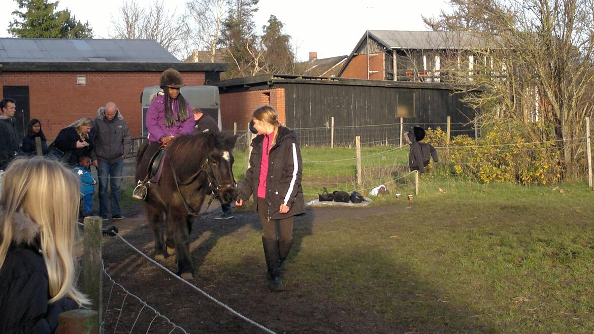 Trække ture til Jule messen på Gram Slot billede 71