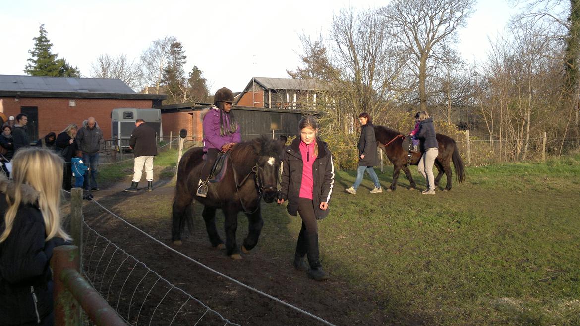 Trække ture til Jule messen på Gram Slot billede 72