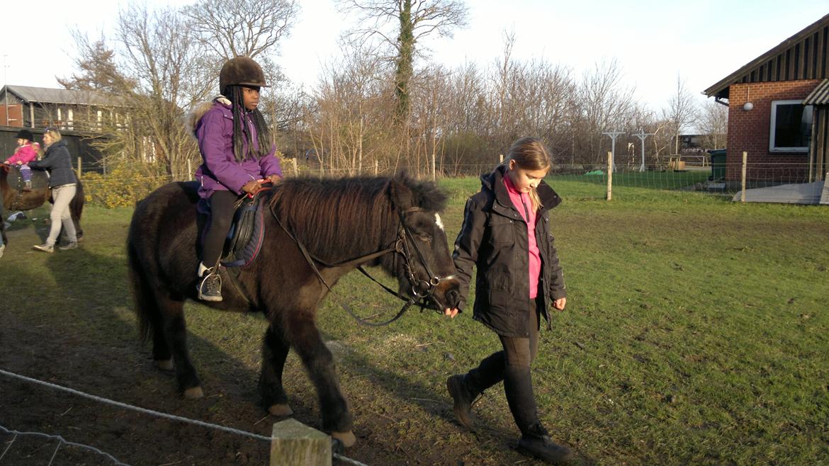 Trække ture til Jule messen på Gram Slot billede 73