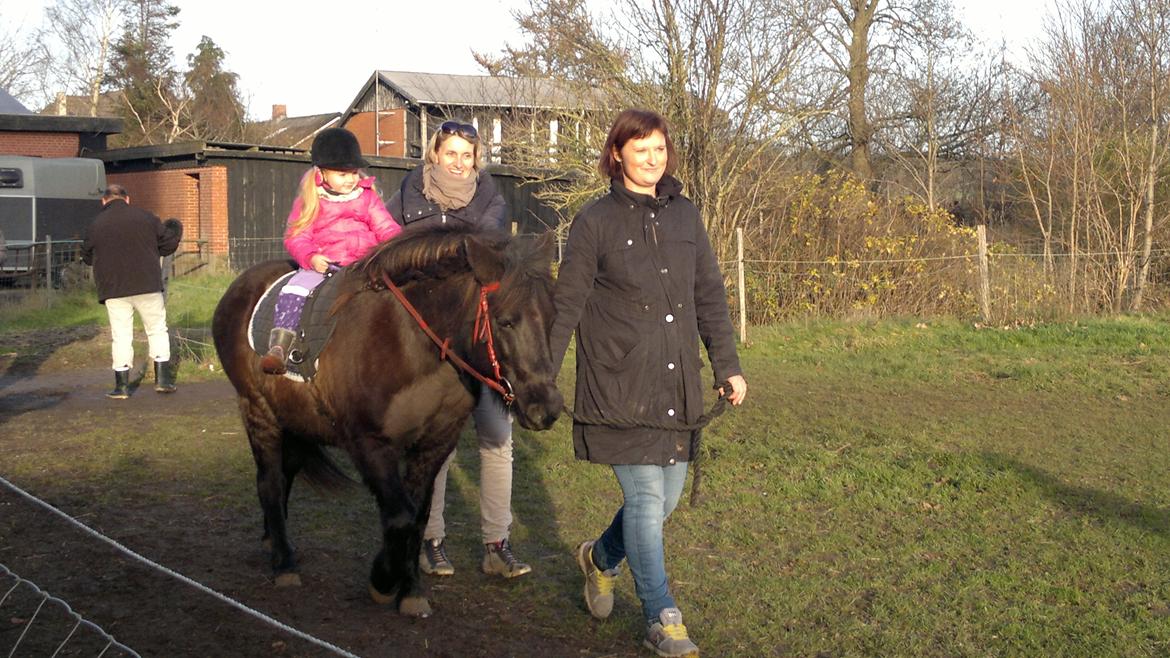 Trække ture til Jule messen på Gram Slot billede 74