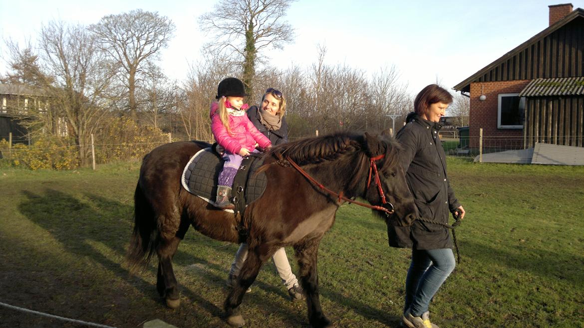 Trække ture til Jule messen på Gram Slot billede 75