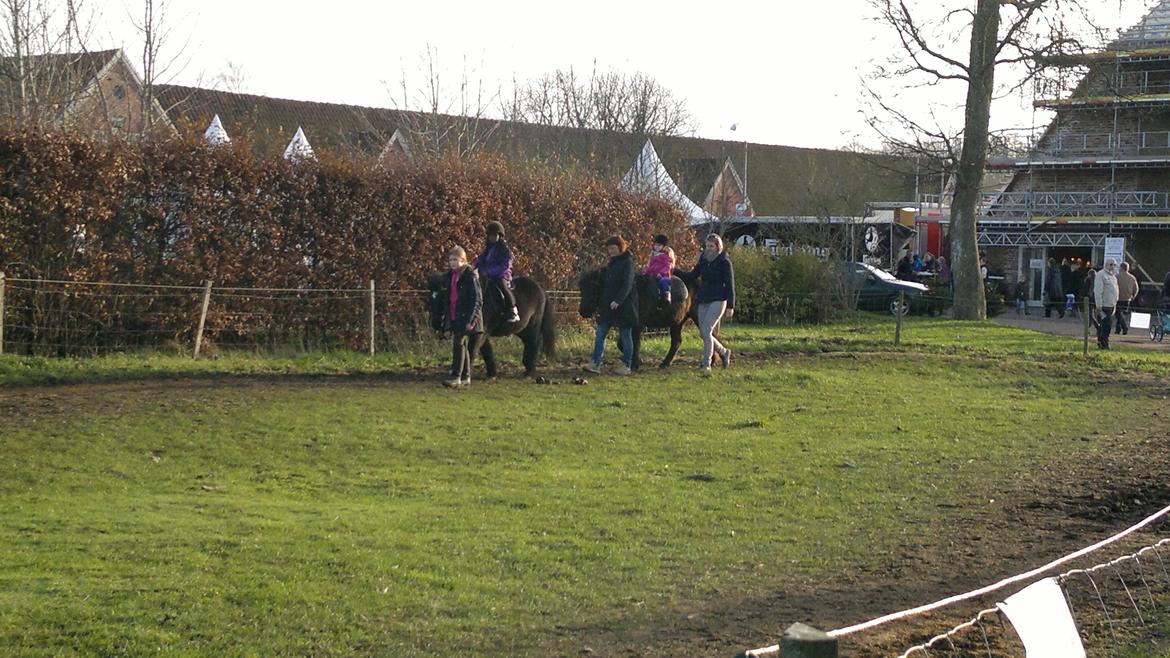 Trække ture til Jule messen på Gram Slot billede 76